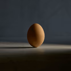 The Egg 453
