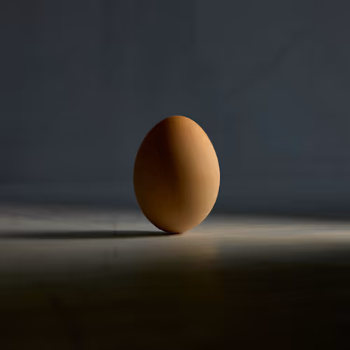 Chicken Photos Egg