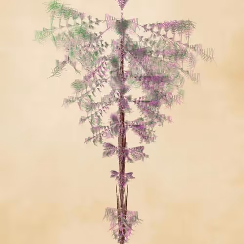 Floral Fractal