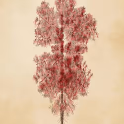 Floral Fractal #72