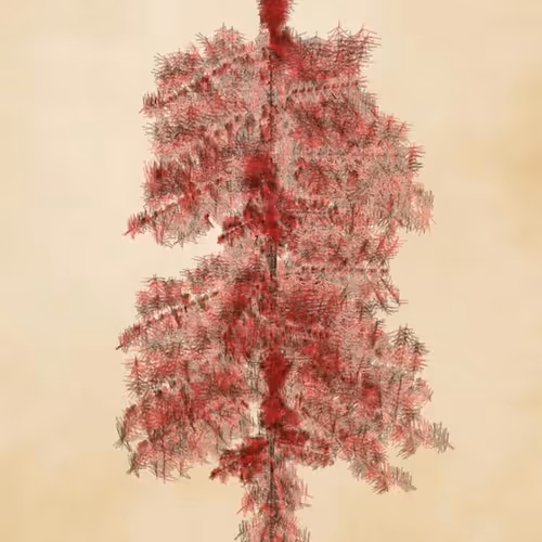 Floral Fractal