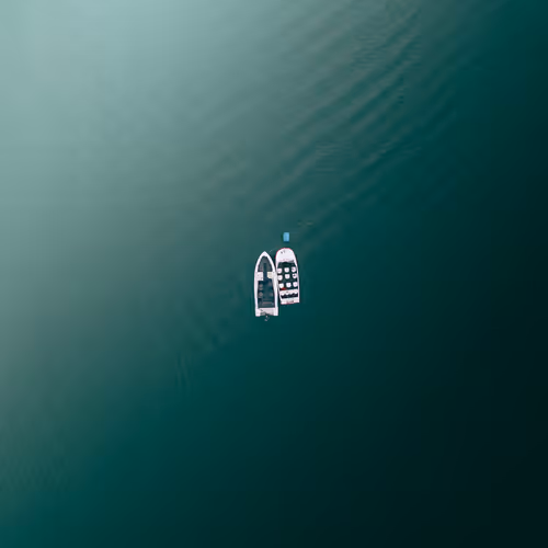 Aquatic Poetry By Himanshu Pagariya