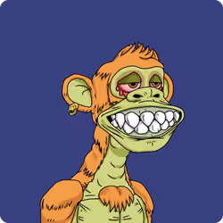 #12050