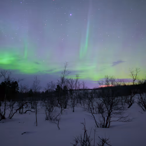 Abisko V2