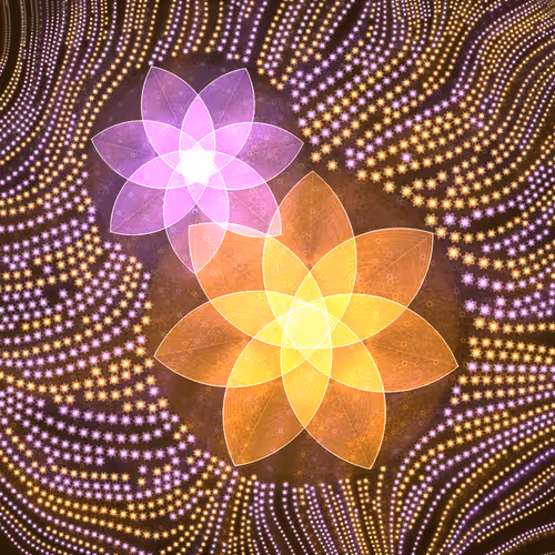 Magnolia Stars