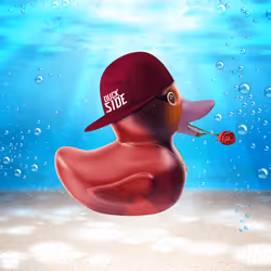 9013032555594879171584844740932521142818286578302946593700429961095096903033