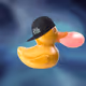 97318597201764413623293799034323263965568046001571688308081387343797513691321