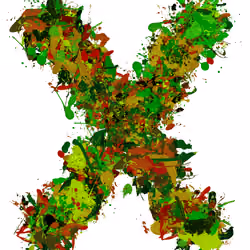 X #3