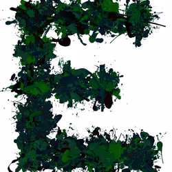 E #1