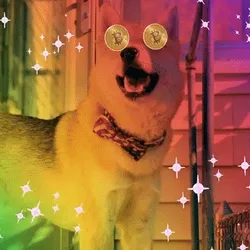 Bitcoin Jindo #1