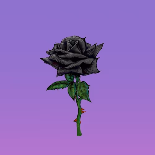 "Time" / "Do Not Disturb" | BlackRose 666 Beat