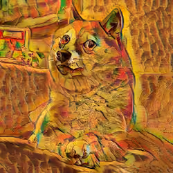 Doge Van Gogh