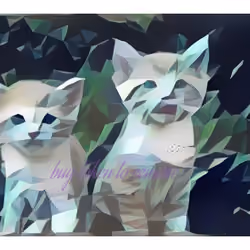 KittenCard#1