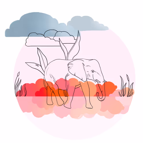 Elephant at sunset