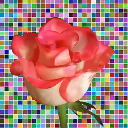 Red Rose on a Multi Colored Sq BG