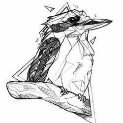 kookabarra king