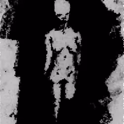 Dunkelheit (out of the dark)