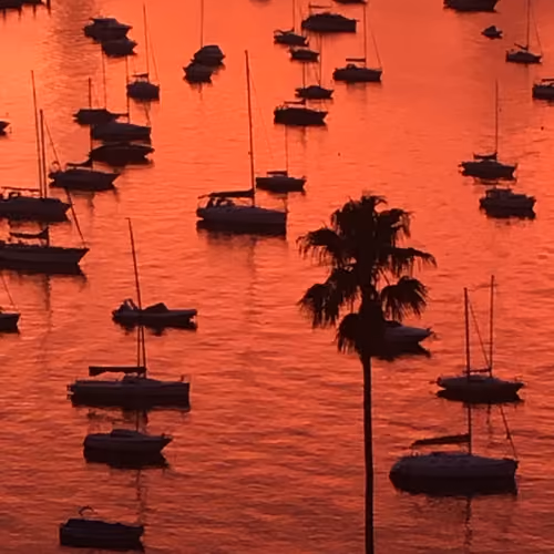 Exhausted Sunset