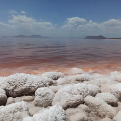 Red Salt Lake