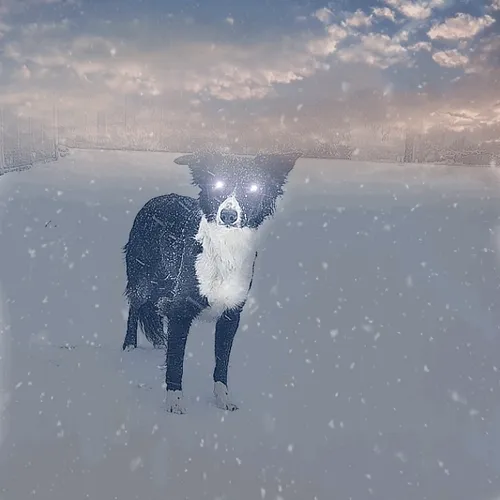 Crypto Winter 