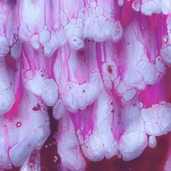 THE TriPPY BLOOB