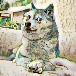 Doge White