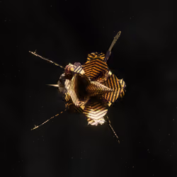 Crypto Spaceship #7