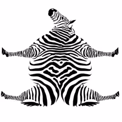 The double zebra