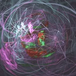 My Fractal Mind