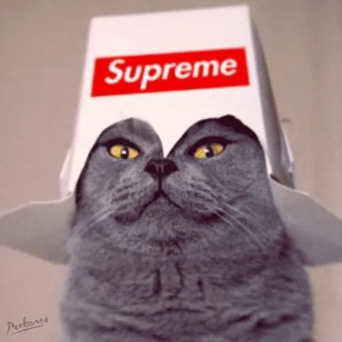 SUPREME CAT