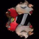 566069