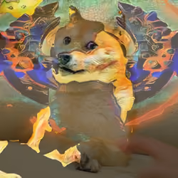Doge Loco 