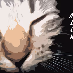- M3ow -