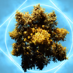 Poetry is in the trees #4