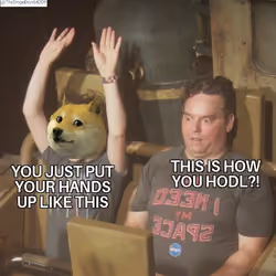 Lesson on hodl