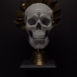 The Ceramic Skull