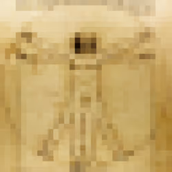 "vitruvian pixels"