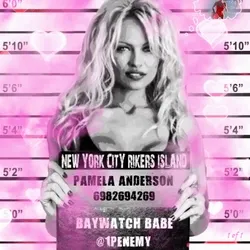 PAMELA ANDERSON: 1/1 SOHO MODEL LINE UP MUGSHOT.