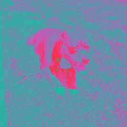 Stella 3 Neon