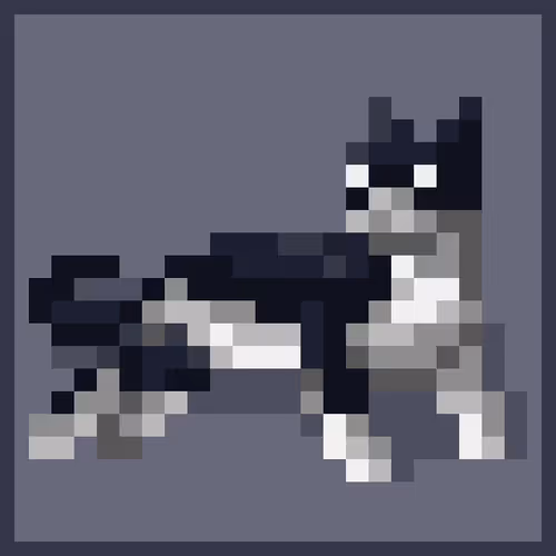 Cat#9