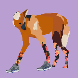 Wolf Kicks