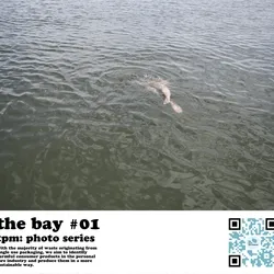 the bay #01