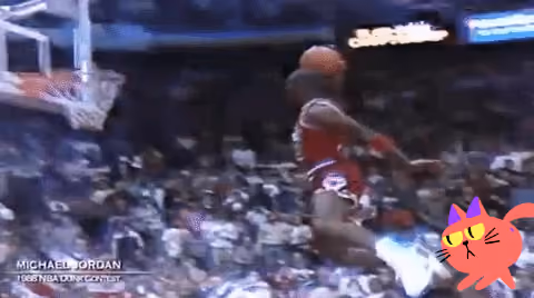Jordan DunkCat