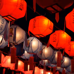 Lanterns of serenity