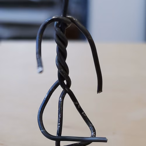 The wired one
