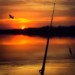 Fishing at sunset