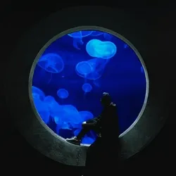 "Hypnotized by jellyfish" #1