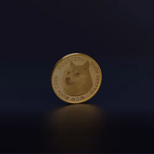 DogeCoin 2021