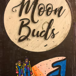 Moon Buds