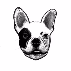 Desmo (Genesis Sketch)